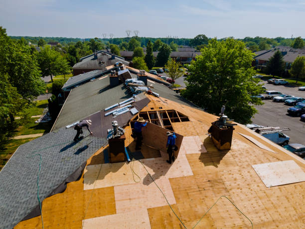 Best Storm Damage Roof Repair  in Polson, MT