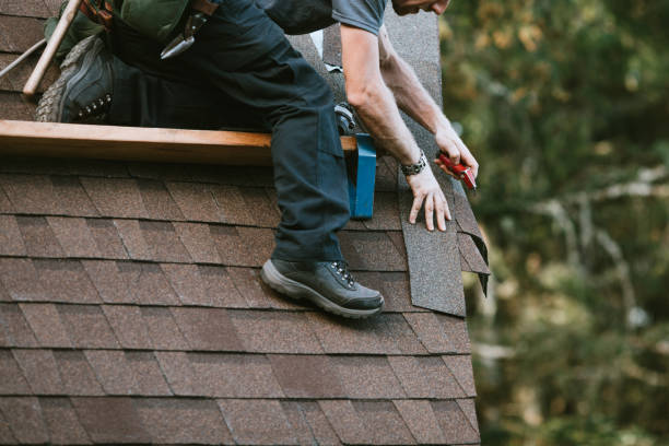 Best Roof Gutter Cleaning  in Polson, MT